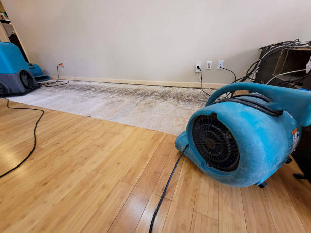 Professional Flood Damage Cleanup technician working in Long Bottom, OH